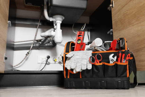 Best Clogged Drain Plumber  in Magalia, CA
